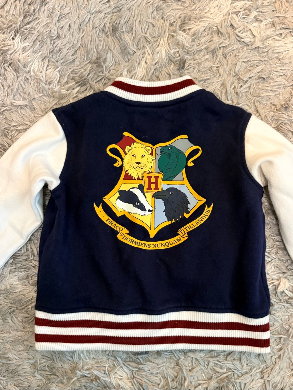 H&M x Harry Potter Hogwarts Varsity Baseball Jacket